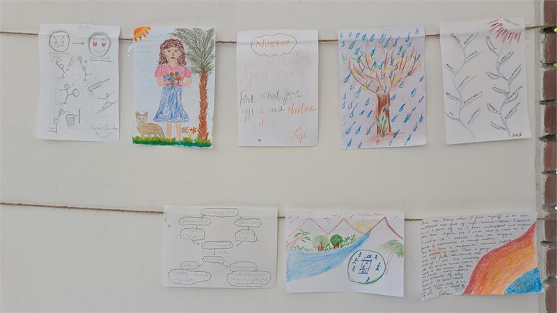 Image 11