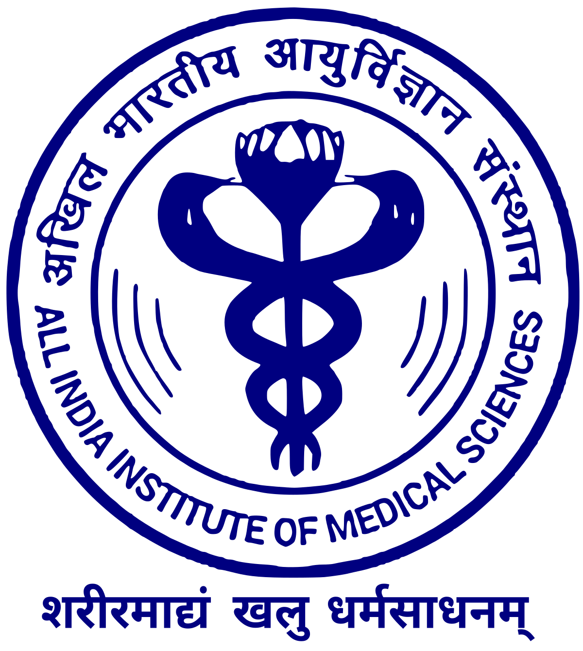 Logo 19