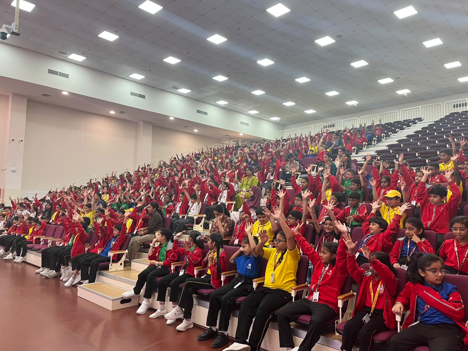 Activity Photo