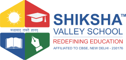 WEBSITE DEMO ( DWARKA )