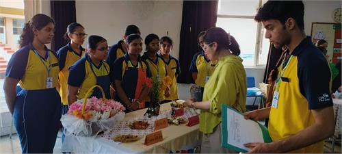 French Culinary Competition: A Gastronomic Celebration at OPG World School