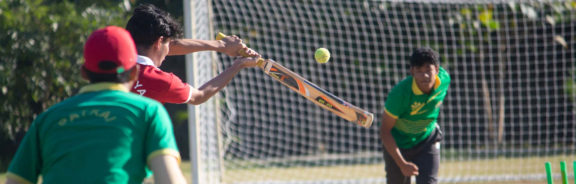 Cricket