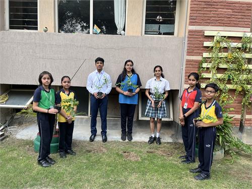 Tree Plantation Drive by Interact Club