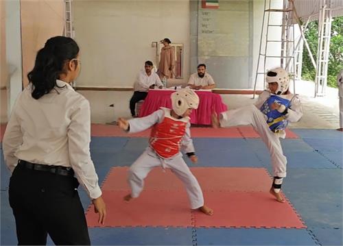 Ethan Strikes Gold at Inter Club Taekwondo Championship