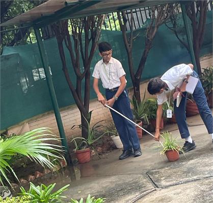 Numbers Come Alive at Outdoor Maths Challenge