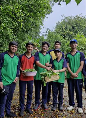 Experiential Learning at SowGood Farms