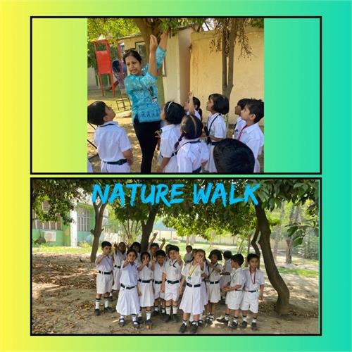 Nature Walk and Plantation Drive