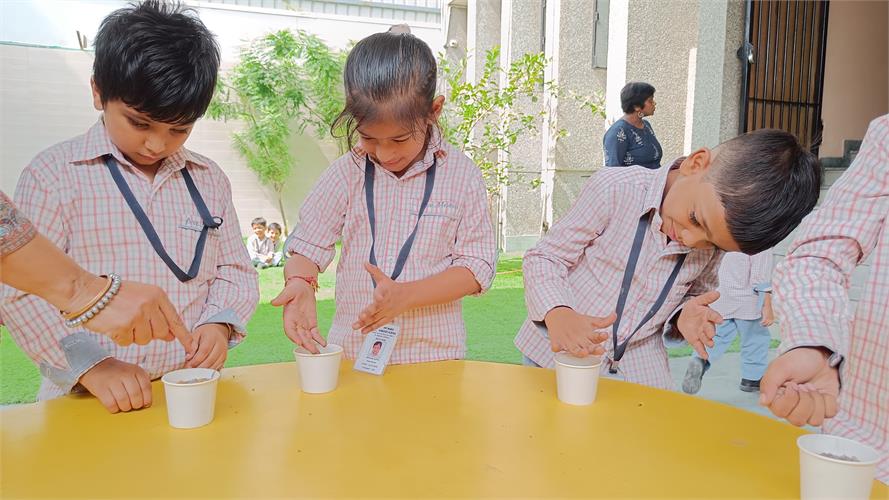 Our Tiny Tots sowing the seeds - Prep