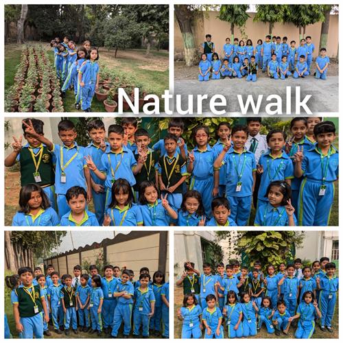 Nature Walk - 6/11/24
