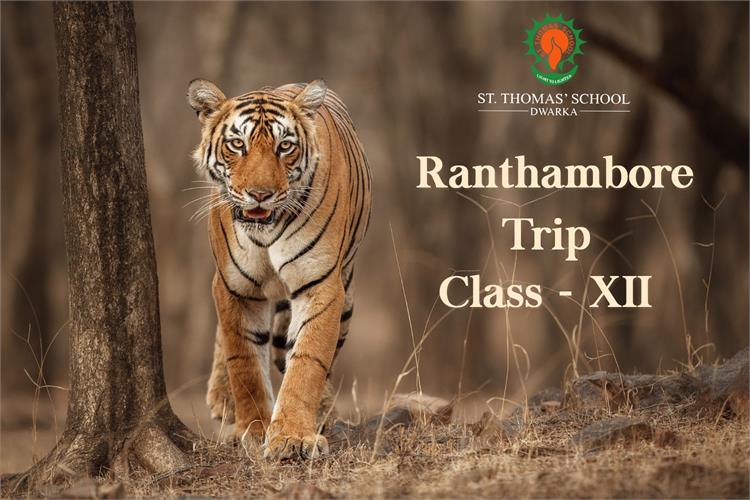 Ranthambore Trip 2025- Class XII