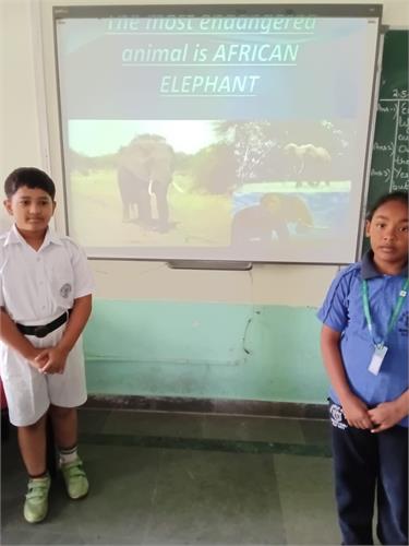 EVS Activity on Endangered Animals