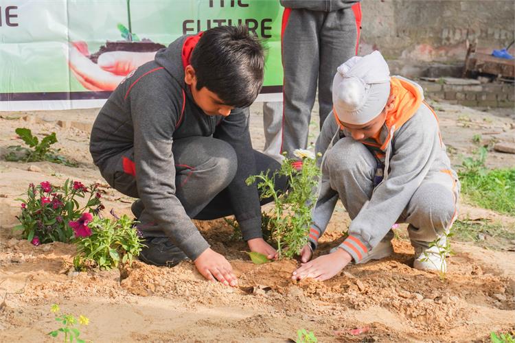 Planting