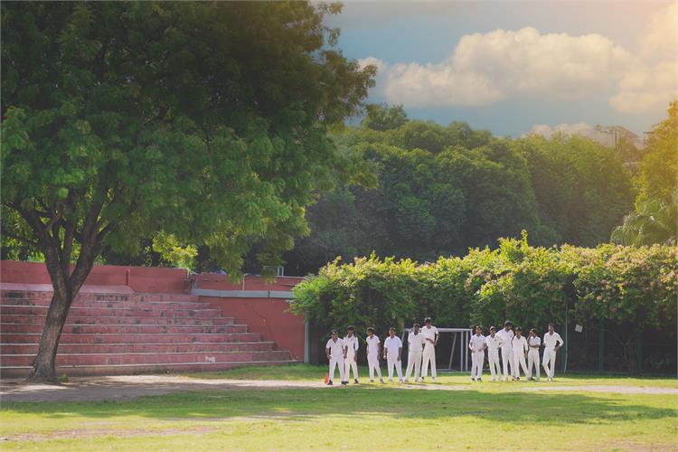 Cricket