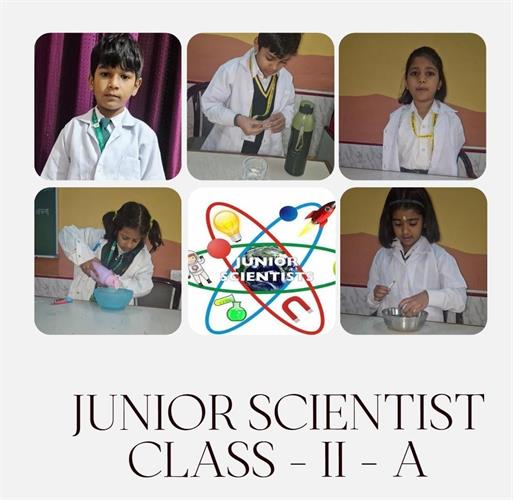 Junior scientists - Show and Tell Competition