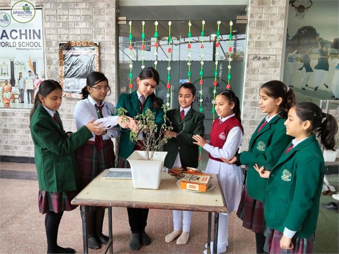 Tulsi Pujan