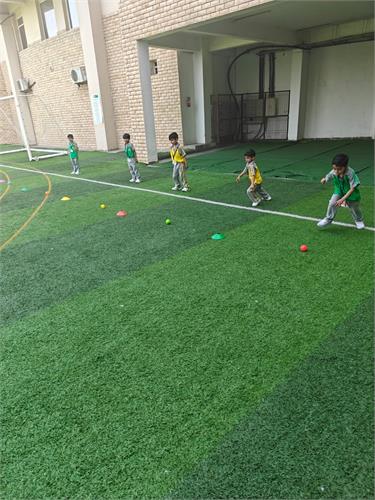 Class I : Ball in the Basket