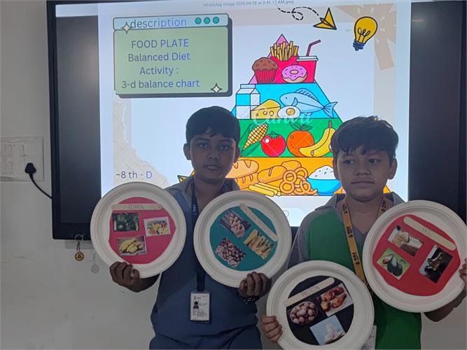 Class VIII : 3D Balanced Diet Plate Designing