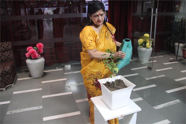 Tree Plantation (23-07-2026)