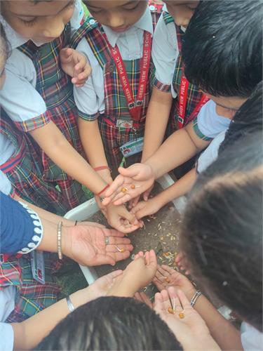Pre Primary Plantation Activity
