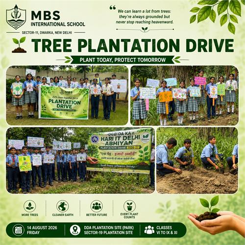 Tree Plantation drive
