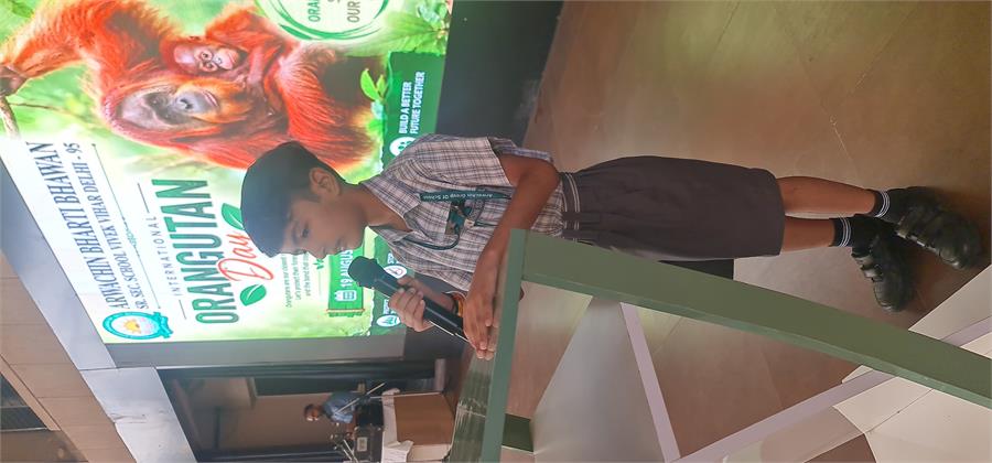 World Humanitarian Day & orangutan Day (19-08-2026)