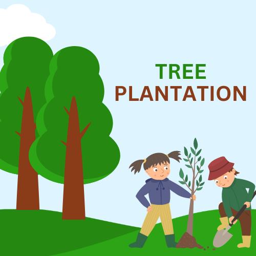 Tree Plantation _31-07-2026