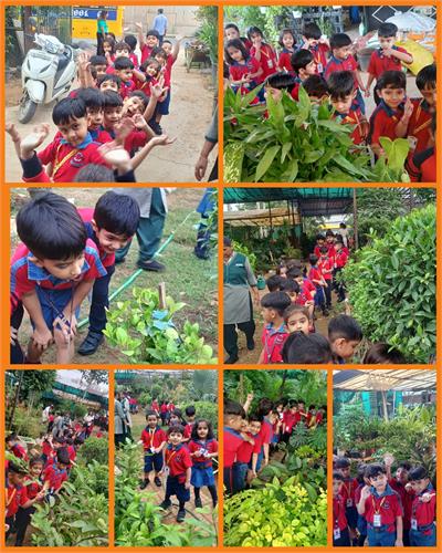 Kindergarten Explores the Nursery